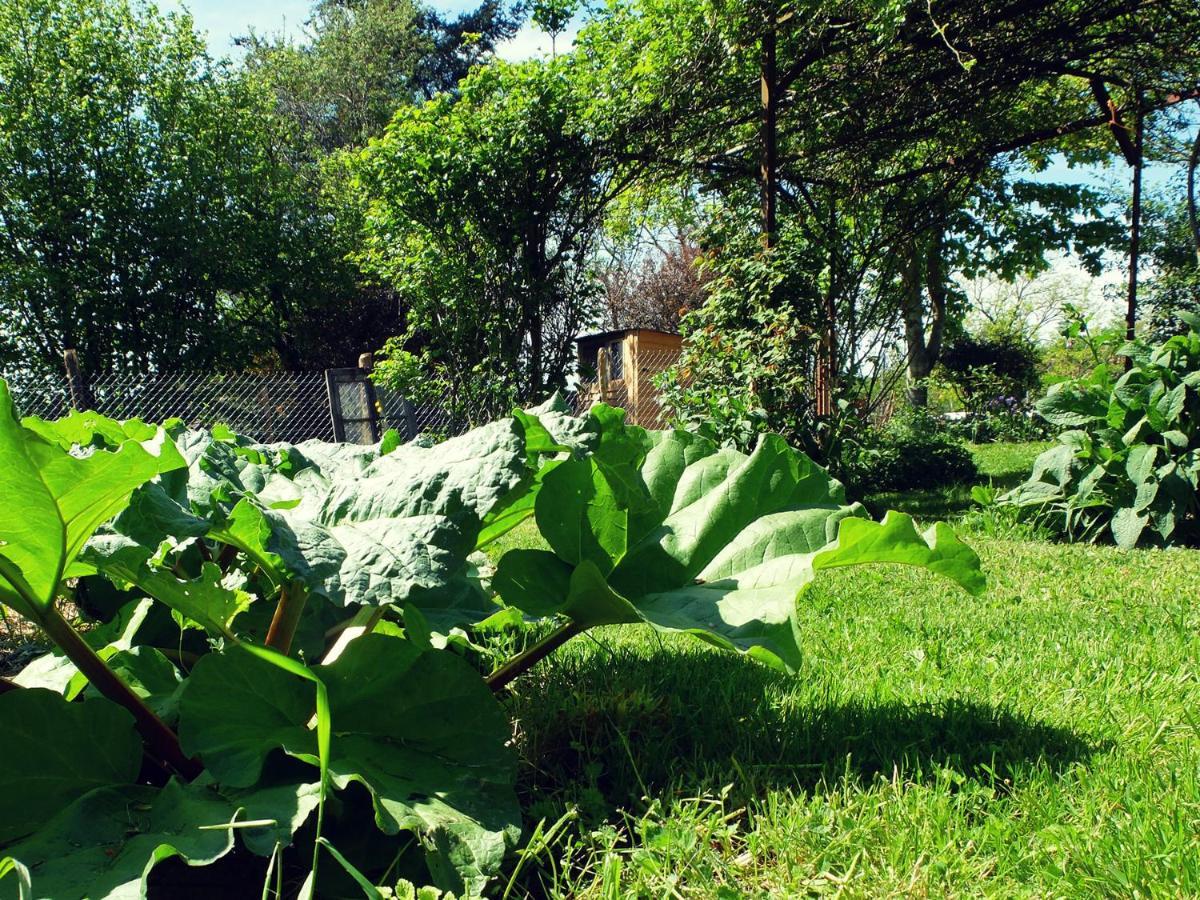 Le The Au Jardin Bed & Breakfast Saint-Julien-de-Civry Екстериор снимка